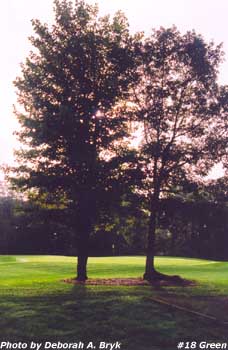 A view of the 18th Green on our Lake George Golf Course