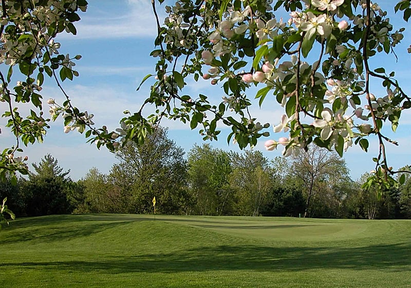 Course photo 1